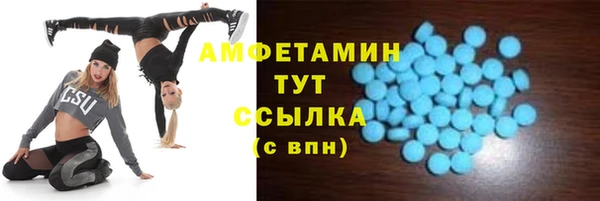 соль ск Кукмор