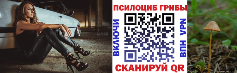наркотики  Керчь  Галлюциногенные грибы мицелий 