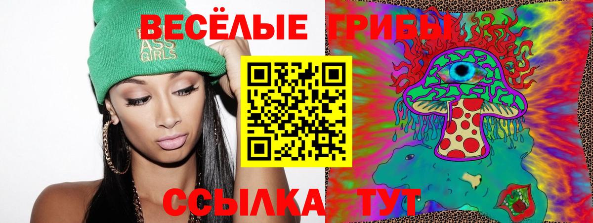 Галлюциногенные грибы Керчь