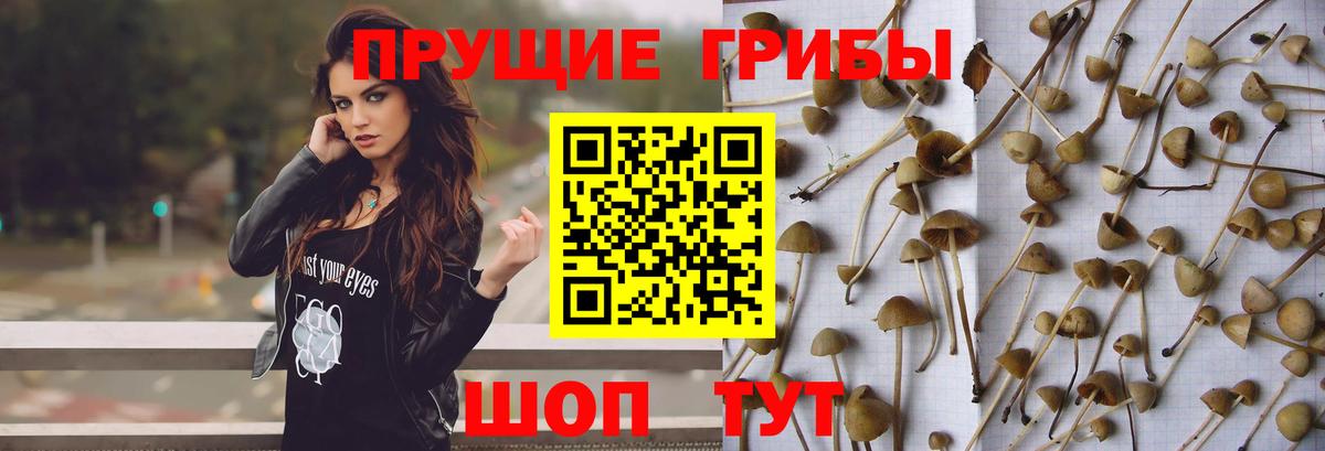 Псилоцибиновые грибы Magic Shrooms Керчь