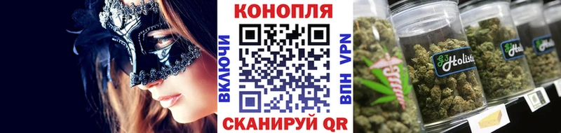 Конопля Bruce Banner  Керчь 